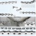 IZTOSS Bike Chain Link Silver Missing Chain Connectors Link 6/7/8/9/10 Speed Chain Master Link as Outdoor Spares - B07GFCK9FC